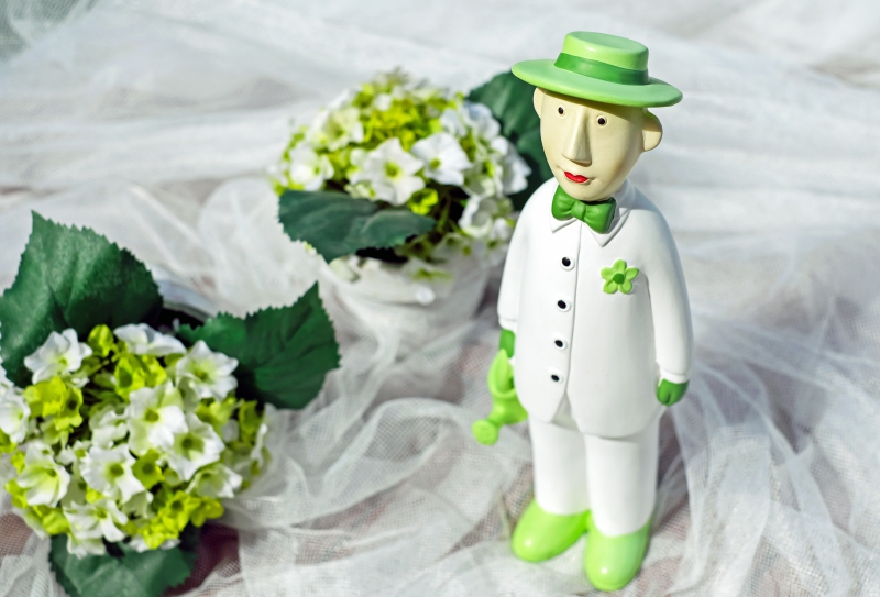 boutique-GILETTE-min_man-person-flower-green-toy-fig-546529-pxhere.com